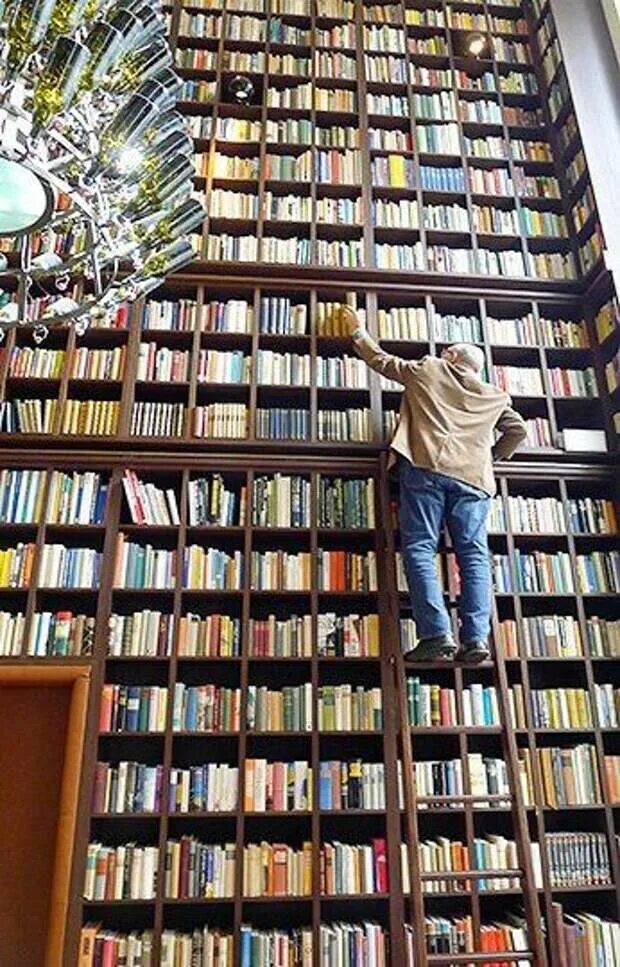 This is our library. Книжная библиотека. Много книг. Книга библиотека. Очень много книг.