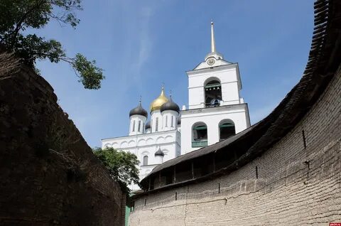 Сайт паду