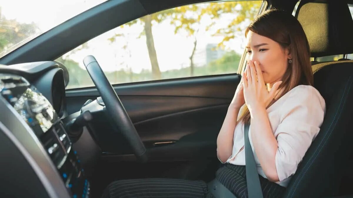 Воняет в машине. Запах в машине. Запах для авто. Запах в салоне автомобиля. Car smell.