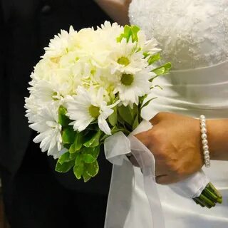 Хризантема невеста