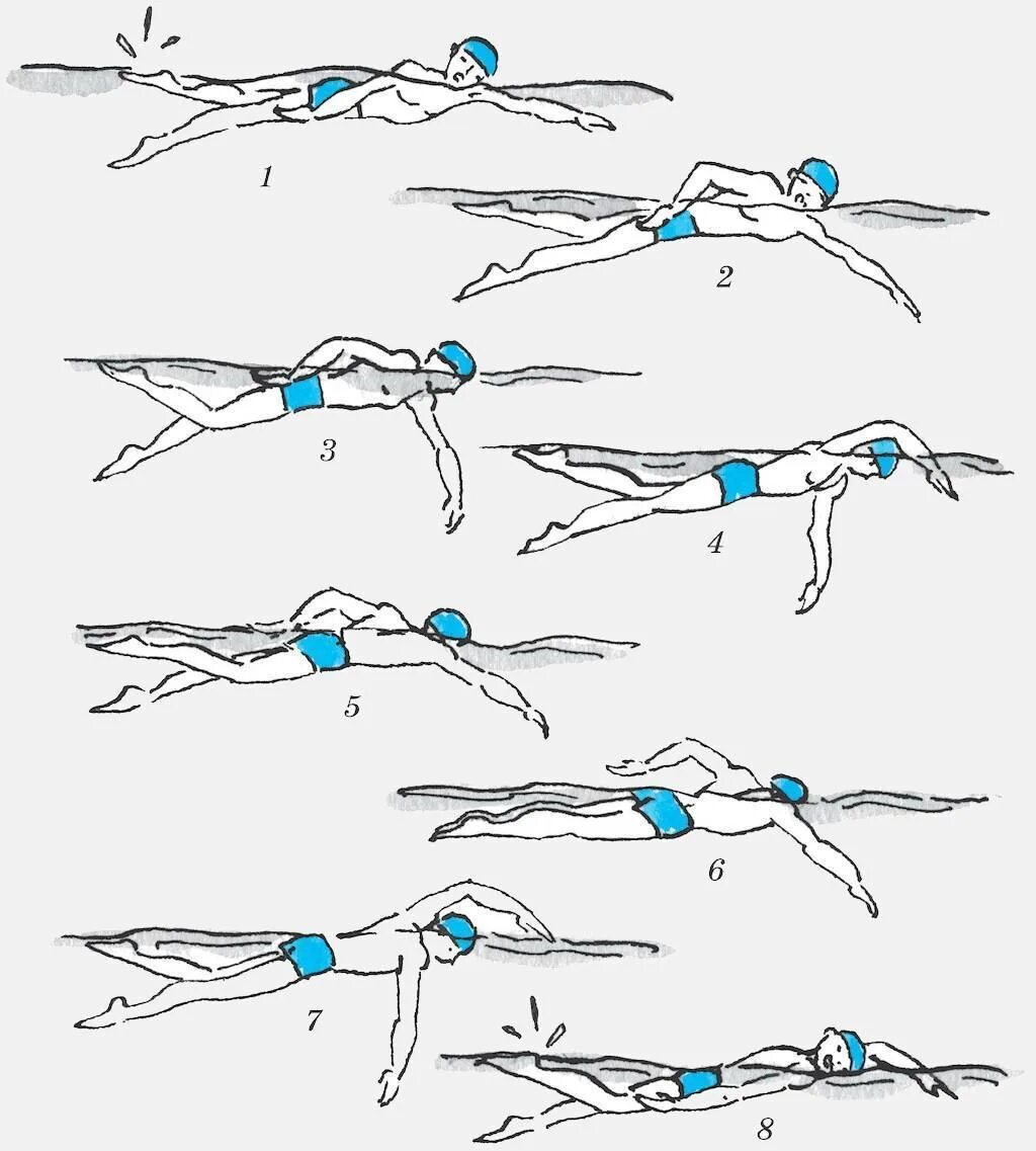 Как научиться плавно. Техника плавания кролем. Кроль брасс. Стиль плавания Кроль техника. Кроль брасс Баттерфляй.