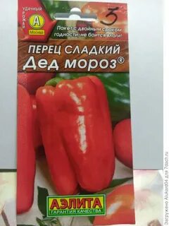 Перец дед мороз