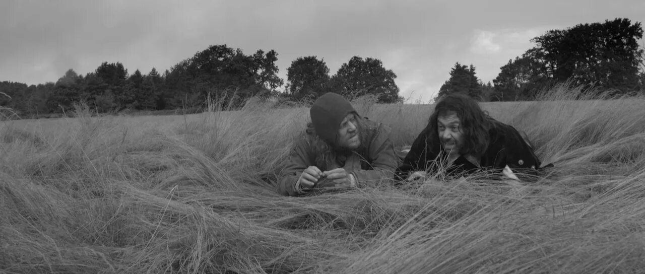 Нашел солдат в заросшем поле. A field in England (2013).