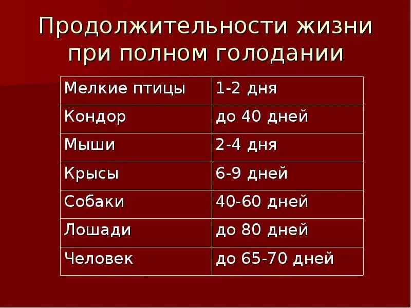 Даты голода. Стадии голодания по дням. Длительное голодание. Голодание презентация. Стадии при голодании.