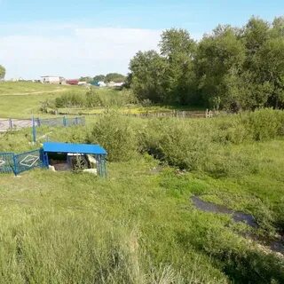 Погода в артемьевке