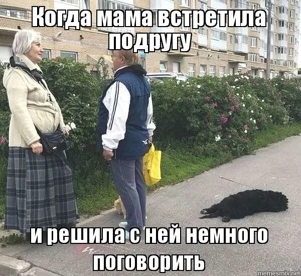 Встретил бывшую форум. Встреча людей на улице. Встретил бывшую форум. Встретил бывшую форум. Когда встретил бывшую картинки.