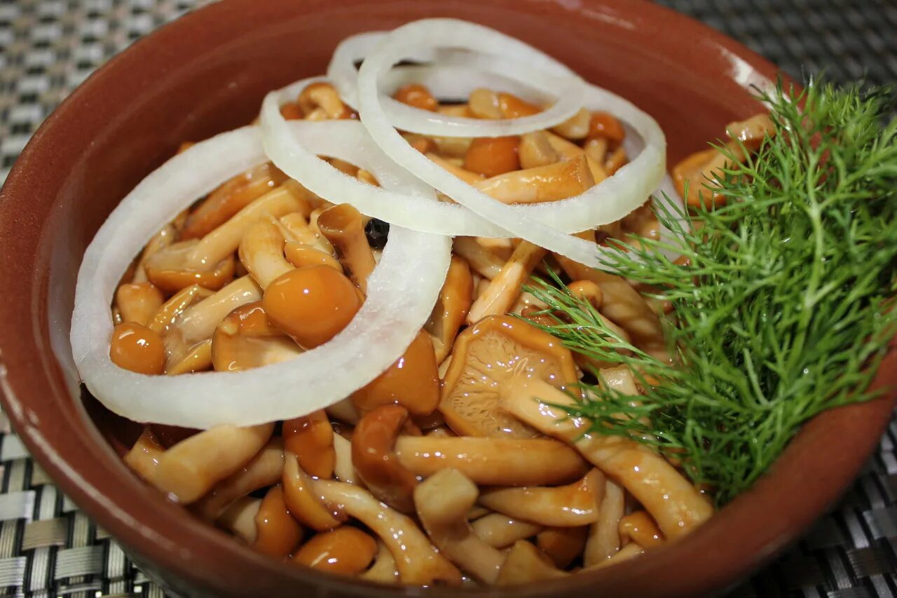 Как вкусно замариновать грибы. Лесные опята маринованные. маринад для грибов (опят, маслят, белых и т. д. ). грибы опята маринованные. грибочки опята маринованные.