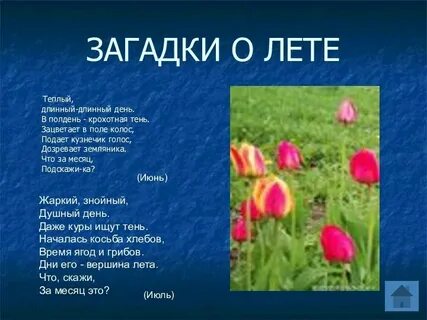 Сколько лет в году загадка