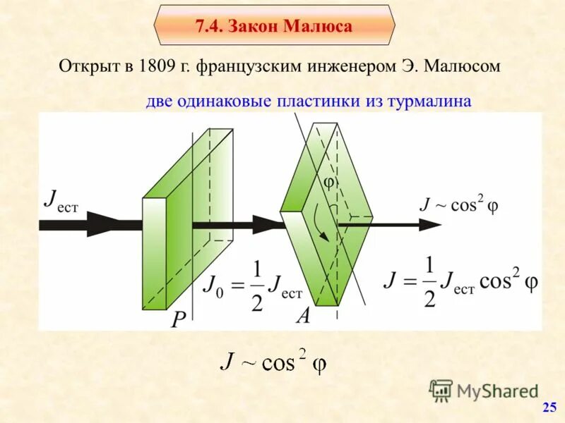 Вывод закона малюса. Закон малюса рисунок. Вывод закона малюса. Закон малюса для поляризованного света формула. Вывод закона малюса.