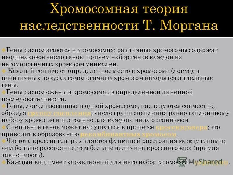 Развитие теории наследственности. Хромосомная теория. Хромосомная теория наследственности. Хромосомная теория наследственности Моргана. Хромосомная теория наследственности т Моргана.