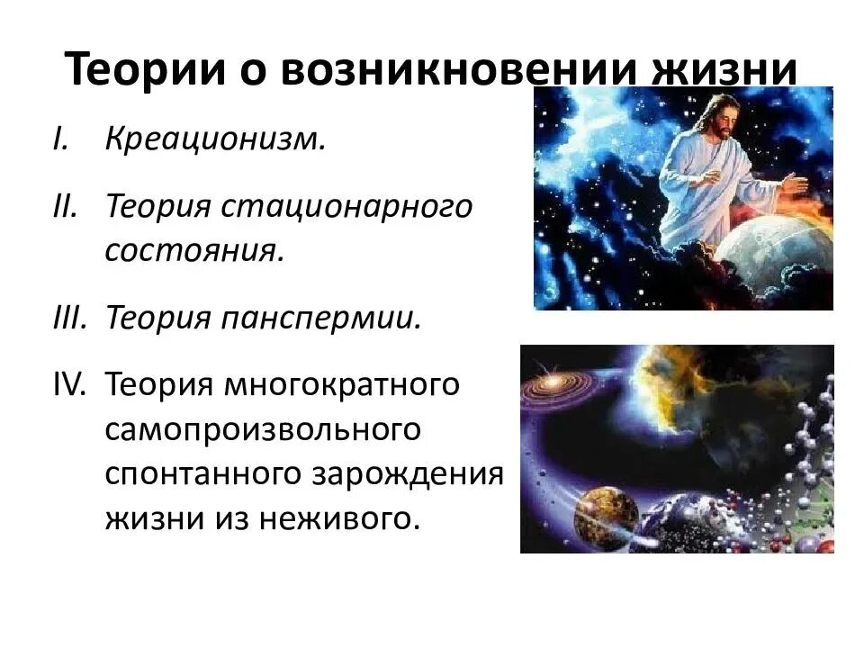 Жизненные гипотезы