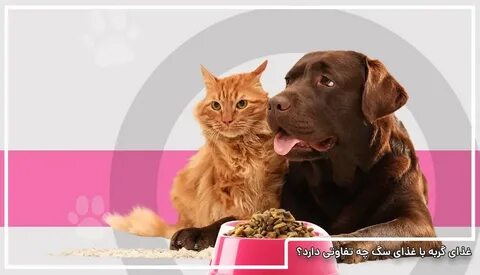 Pet shop корм