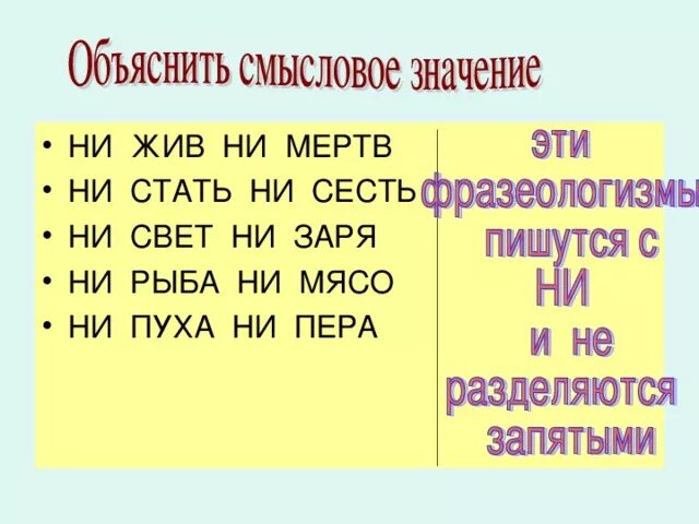 Устойчивое выражение ни свет ни заря. Ни жив ни мертв ни свет ни Заря. Ни жив ни мертв фразеологизм. Ни жив ни мёртв как пишется. Ни свет ни Заря ни рыба ни мясо.