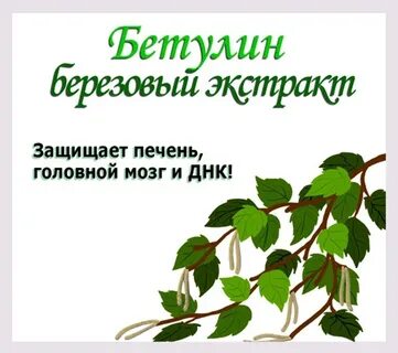Бетулин инструкция