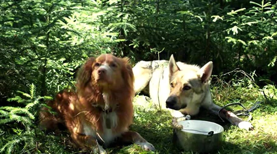 пузырь пять минут. пузырь пять минут. сериал пять минут тишины 5. пять минут тишины сериал пузырь. фильм 5 минут тишины.