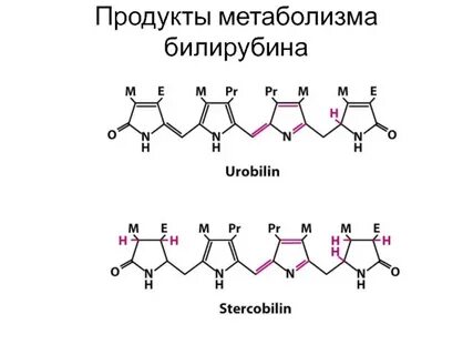 Продукты билирубина