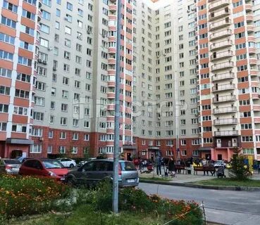 Кучино брагина 3