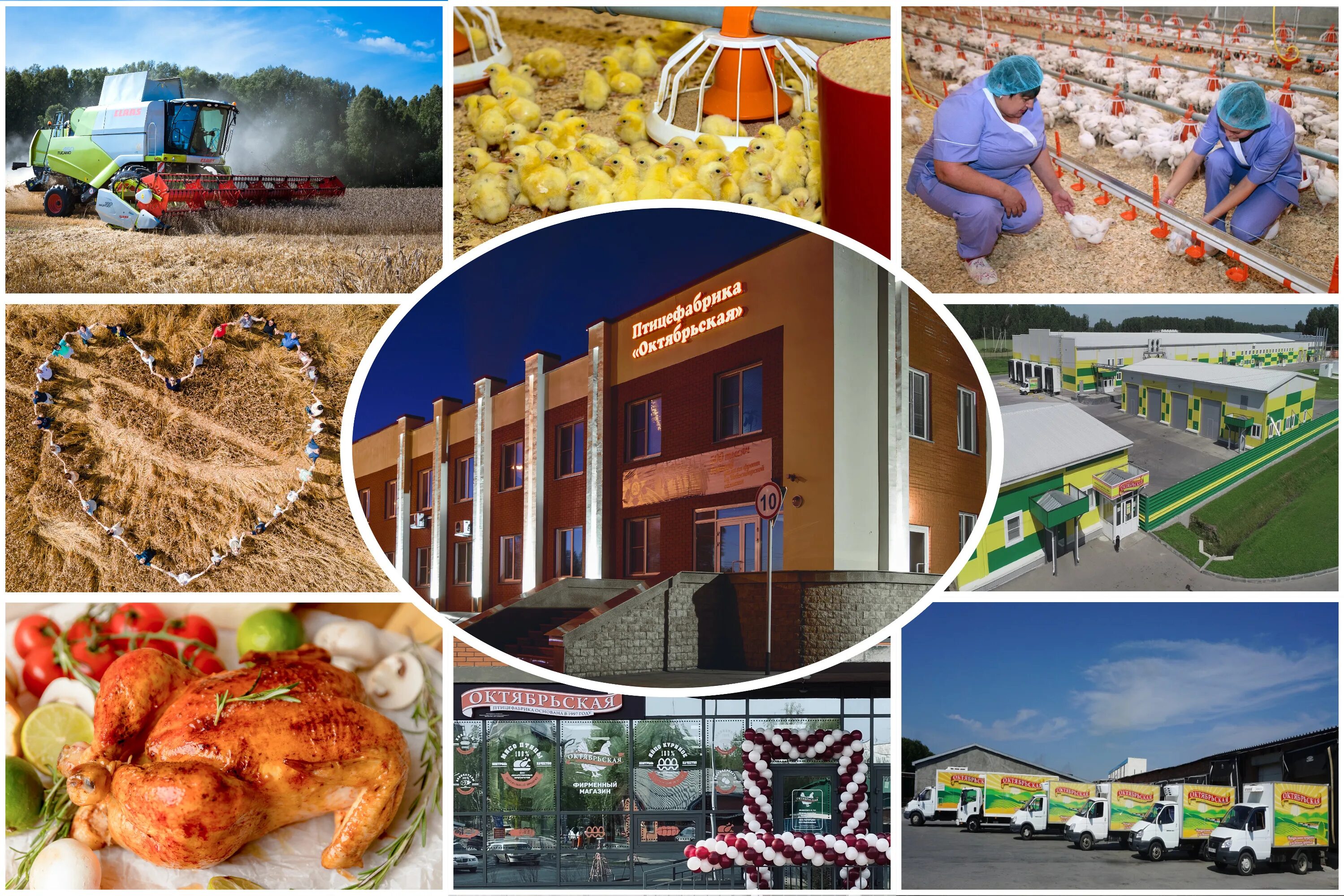 работа в новосибирске. приглашаем на работу технолога. работа в барнауле. промышленный альпинизм. новосибирск работа для всех.