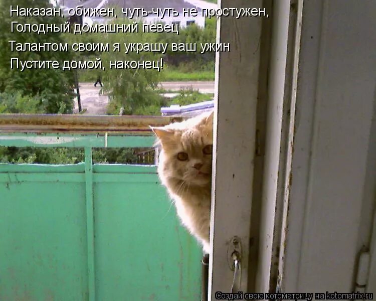 Виноватый кот. Кто не спрятался я не виноват считалка. Раз два три четыре пять кто не спрятался я не виноват. Кто не спрятался я не виноват считалка. Считалки для дошкольников короткие.