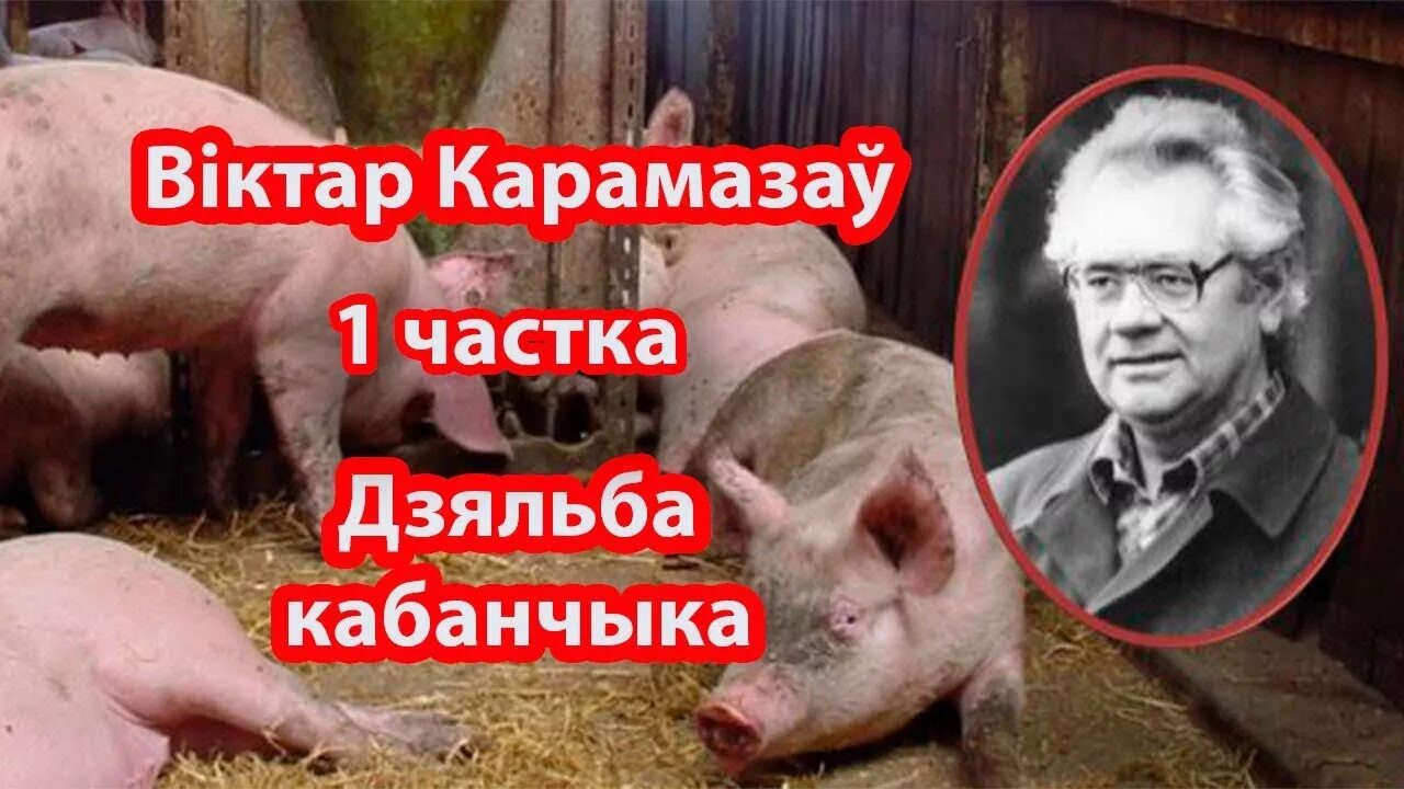 Характеристика сцяпана дзяльба кабанчыка. Зімовы вечар сачыненне па літаратуры. Крыжна. Характеристика ганны. Віктар карамазаў.