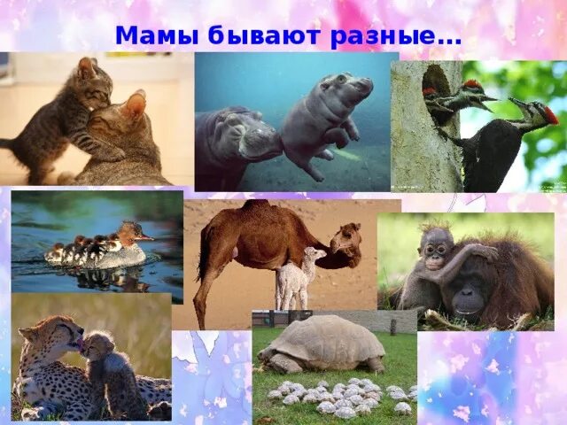 Мамы разные нужны мамы всякие важны стихотворение. Мамы всякие нужны мамы всякие важны. День матери фото. Такая разная мама. Мамы разные нужны мамы разные важны.