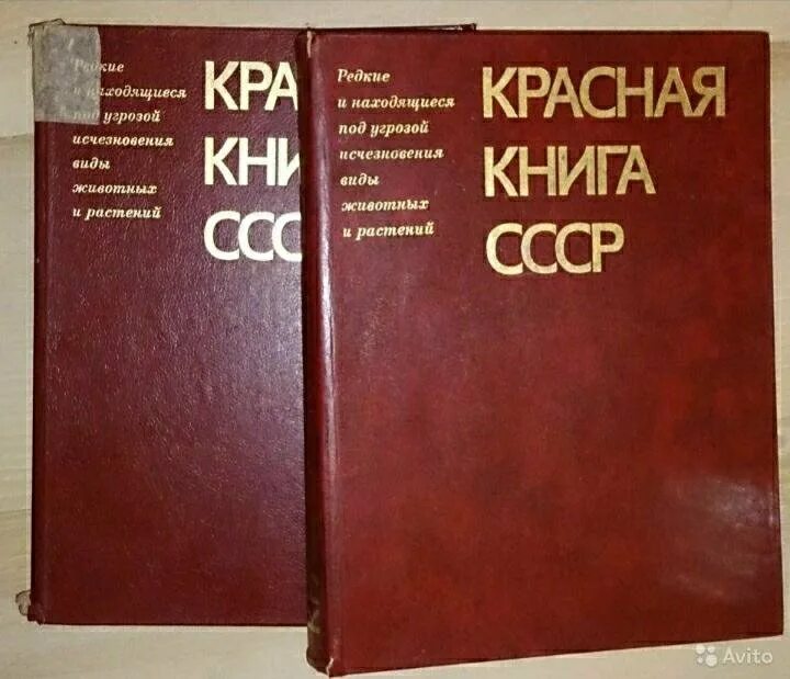 Сколько стоит советские книги. Ценные книги СССР. Дорогие книги СССР. Самые дорогие книги СССР. Редкие и дорогие книги СССР.