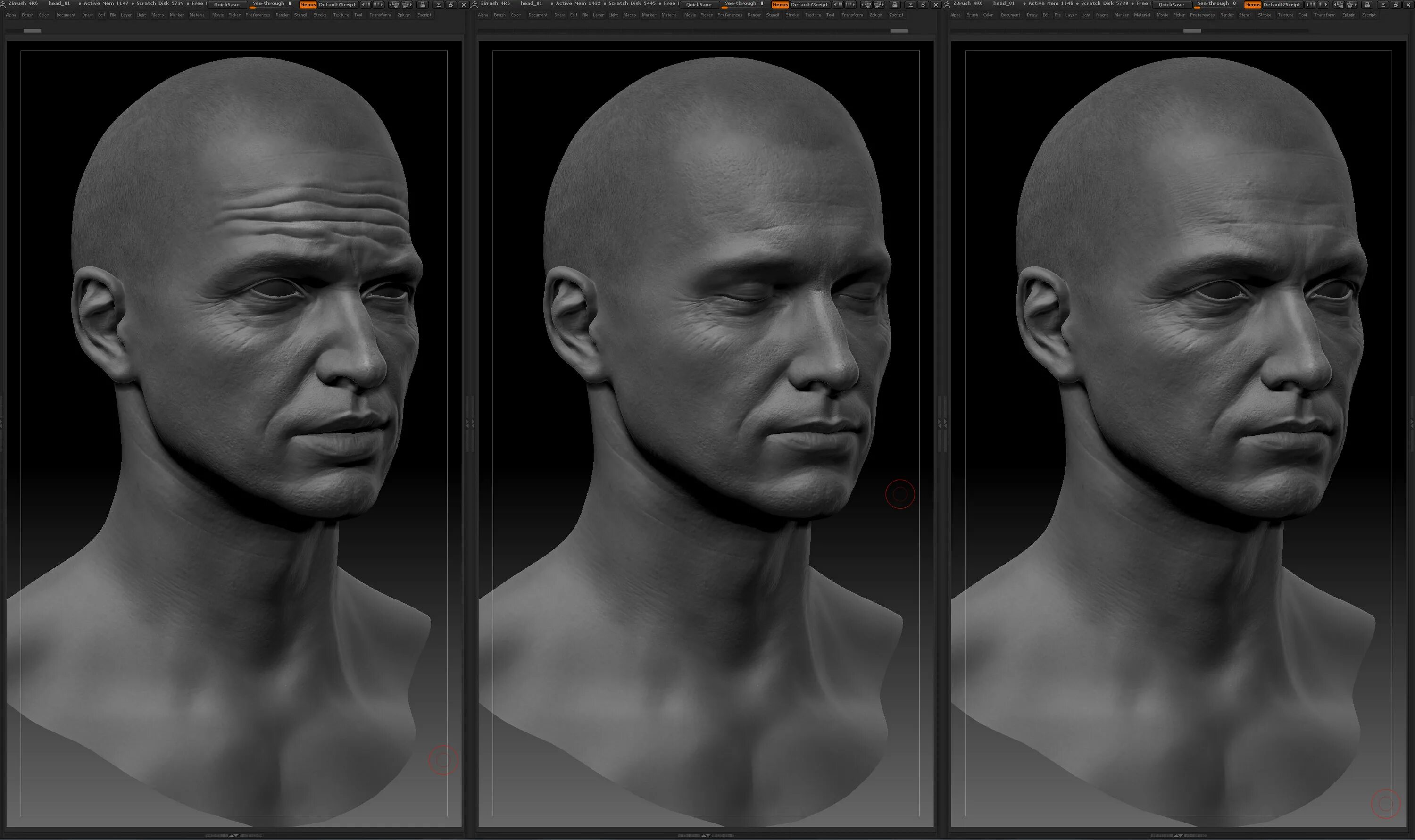 C reference main. Нос человека референс Zbrush. Лицо референс. Zbrush лицо. Референсы лица 3/4.