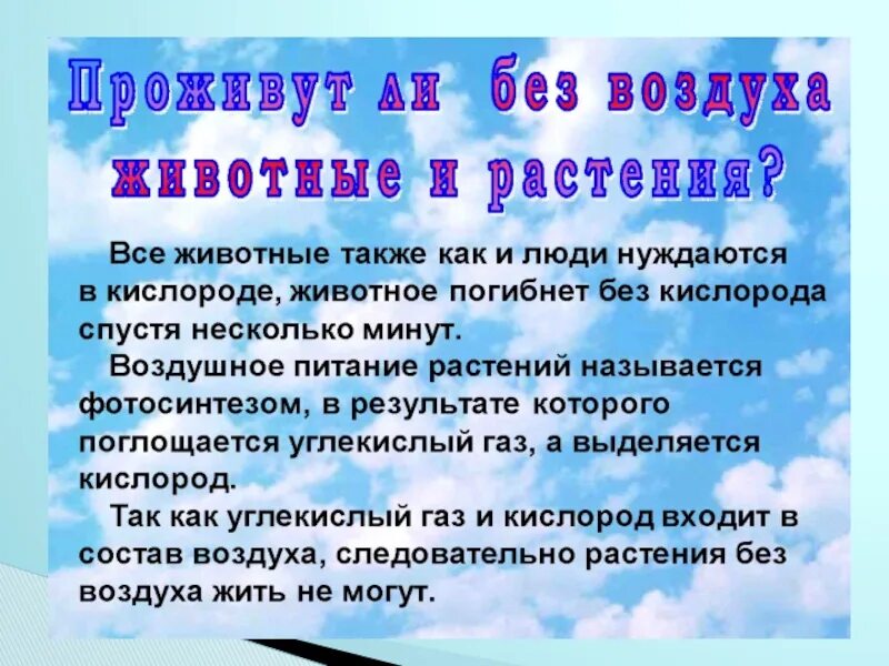 Какое значение имеет воздух. Сколько можно прожить без воздуха. сколько человек может прожить без воздуха. существа которые могут жить без кислорода. почему растения не могут без воздуха.