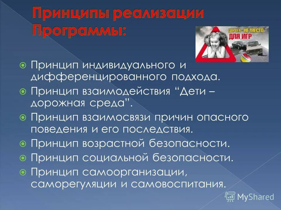 Принцип индивидуального подхода. Принципы безопасного поведения. Дорожная среда. Принципы взаимодействия. Общие принципы безопасности в цифровой среде презентация