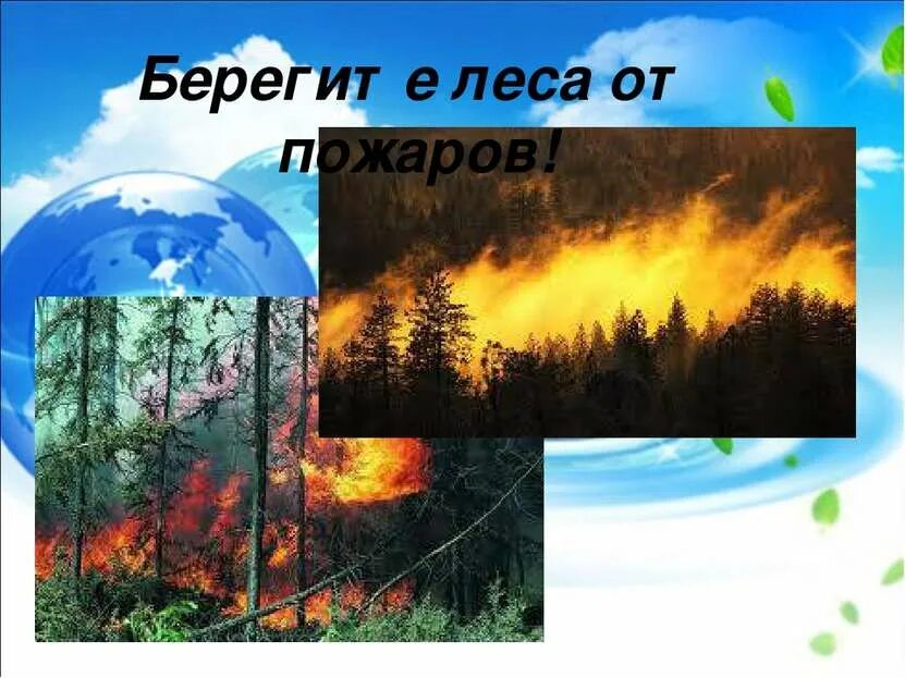 Презентация на тему берегите природу. Берегите природу. слайд берегите природу. береги природу презентация.