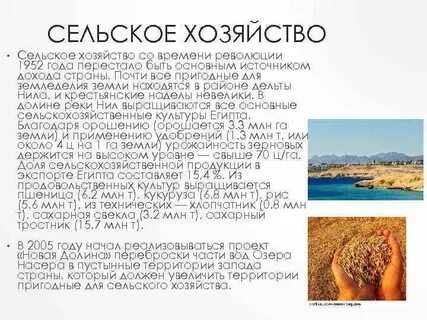 Специализация египта