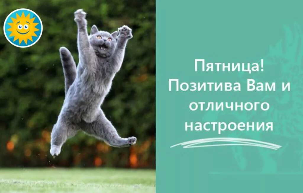 Всех ждем в отличном настроении. Всех ждем в отличном настроении