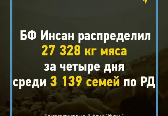 Сайт фонда инсан. Инсан благотворительный фонд в Махачкале. Фонд Инсан итоги. Фонд Инсан пожаре.