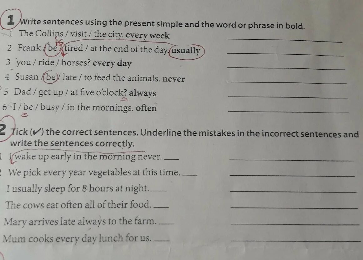 Correct the sentences. Write the correct Words. Write correct sentences. Tick the correct sentences.