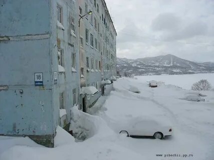 Рыбачий камчатка
