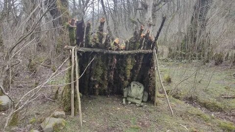 Rock survival