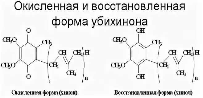 Форма восстановления
