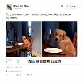 Метка колкая шутка 7