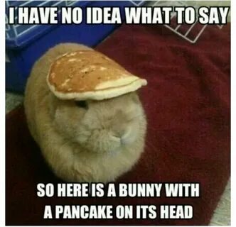 Its head