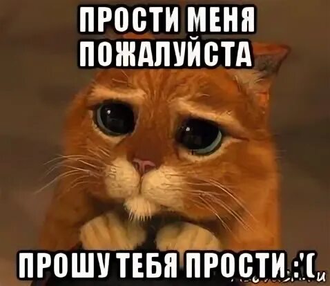 Песня прошу пожалуйста