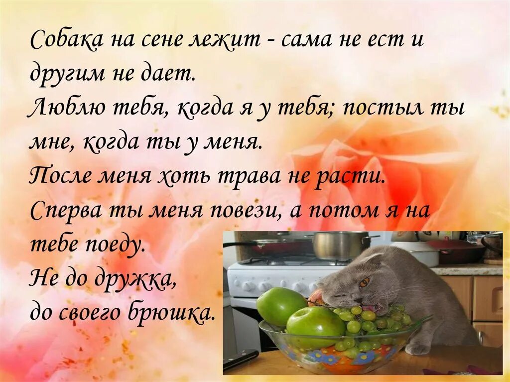 Девушки на сеновале. Фотосессия в сене в рубашке. Девушки на сене лежат. Пословицы и поговорки. Любовь в стогу сена.