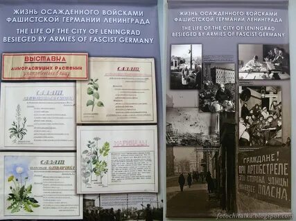 Что сажали в парках весной 1942
