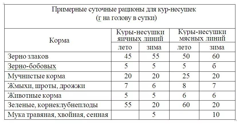 Сколько корма в день курам. Норма корма для кур несушек на сутки. Нормы кормления кур несушек таблица. Норма корма несушкам в сутки. Рацион корма кур несушек таблица.