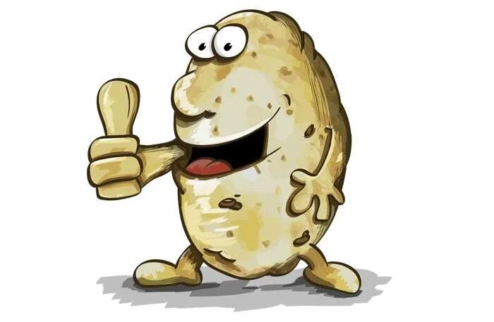 Веселая картошечка. Веселый картофель. Картошка мультяшные. Картошка рисунок. Рисунок веселой картошки.