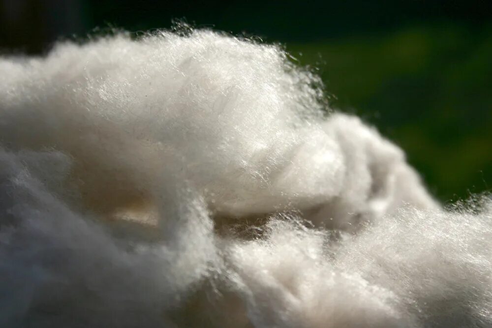 Текстура шерсти. Искусственный мех черный. Плотная блестящая ткань. Йоркширский терьер стандарт стойка. Бенгальская кошка глиттерная шерсть.