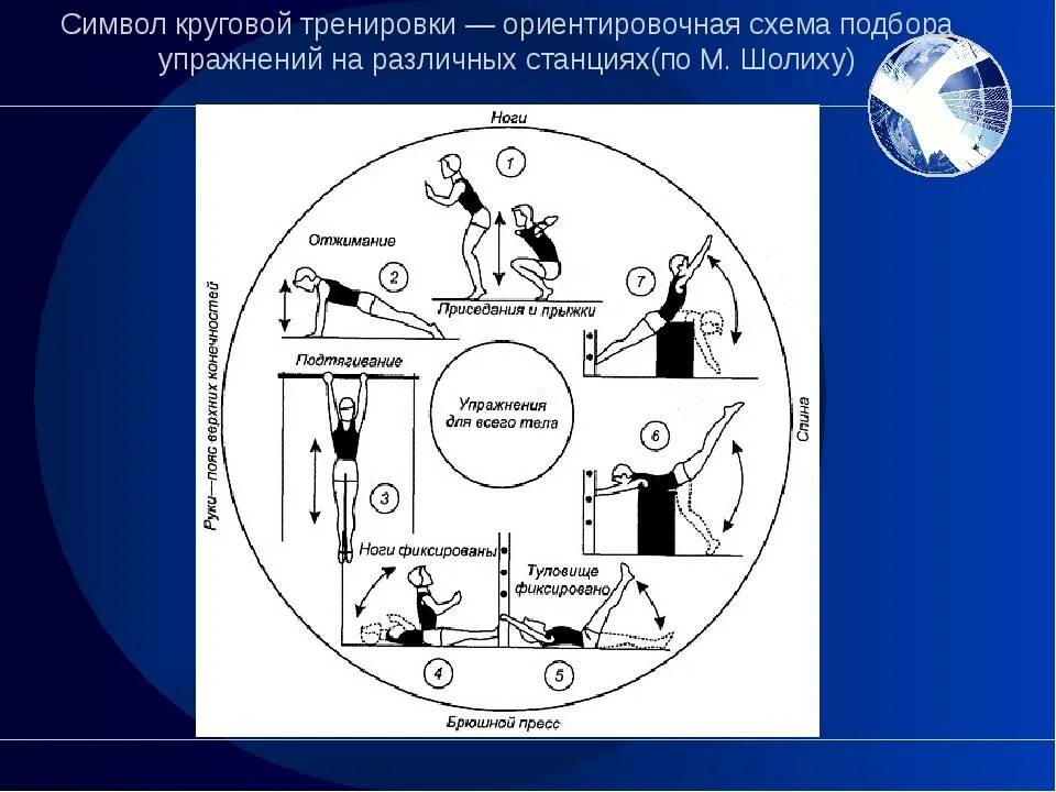 Метод круговой тренировки для развития быстроты. Круговая тренировка по методу длительного непрерывного упражнения. Круговая тренировка комплекс упражнений. Схематический рисунок круговой тренировки. Круговые упражнения на выносливость.