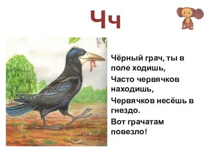 Грачи по слогам