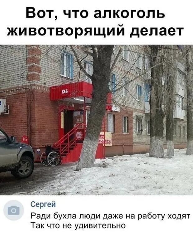 Вот что алкоголь животворящий делает. Приколы Ростова. Вот что пиво животворящее делает. Вот что санкции животворящие делают. Вот что животворящий делает