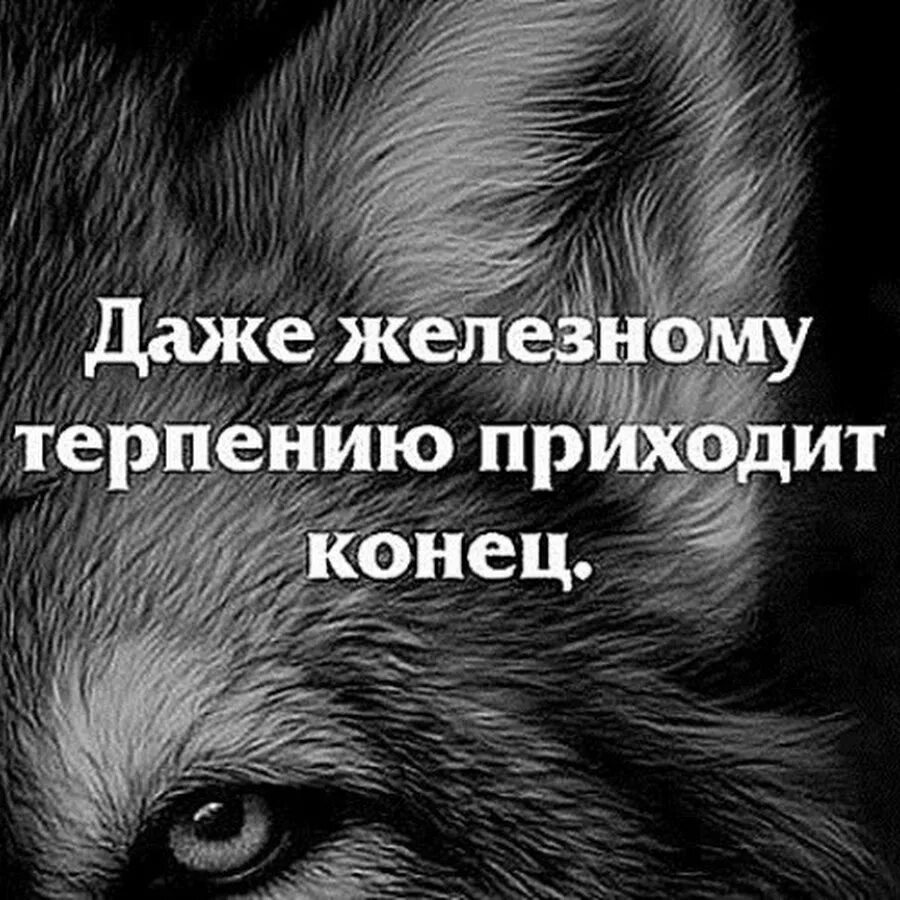 Терпению приходит конец. Рано или поздно всякому терпению приходит конец. Даже железному терпению приходит конец. Даже у самого терпеливого человека. Власти приходит конец