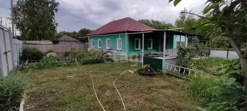 Македоновка донецкая область. Село македоновка. Вязовка саратовская область. Село македоновка. Македоновка саратовская область татищевский.